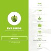 Veneno (Eva Seeds) - The Cannabis Seedbank