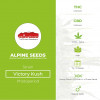 Victory Kush Regular - Alpine Seeds - Characteristics