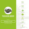 Wappa Auto - Autoflowering - Paradise Seeds - Characteristics