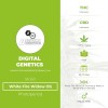 White Fire Widow OG Regular (Digital Genetics) - The Cannabis Seedbank