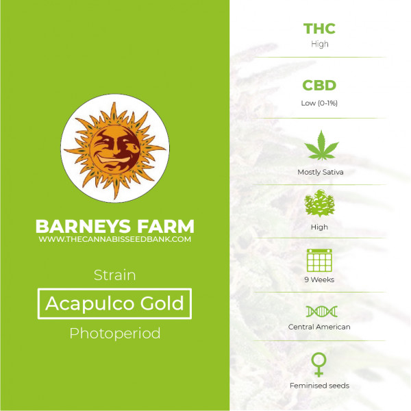Acapulco Gold Feminised Barney's Farm Seeds - Characteristics