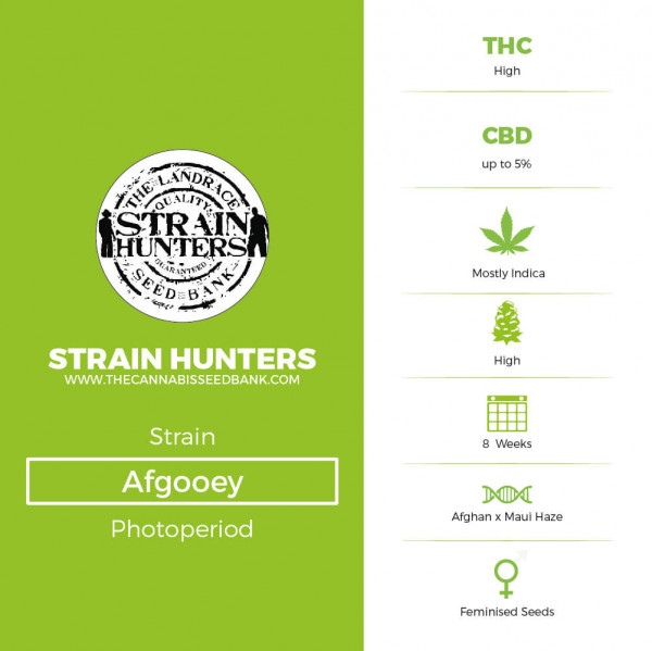 Afgooey - Feminised - Strain Hunters - Characteristics