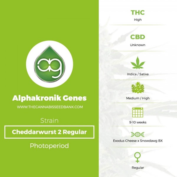Cheddarwurst 2 Regular (Alphakronik Genes) - The Cannabis Seedbank