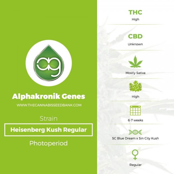 Heisenberg Kush Regular (Alphakronik Genes) - The Cannabis Seedbank