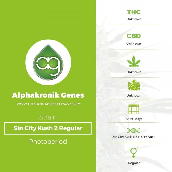 Sin City Kush 2 Regular (Alphakronik Genes) - The Cannabis Seedbank