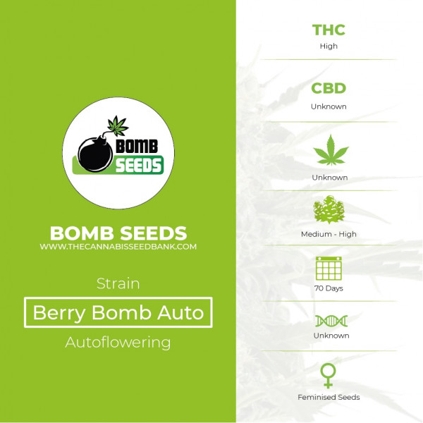 Berry Bomb Auto - Bomb Seeds - Characteristics
