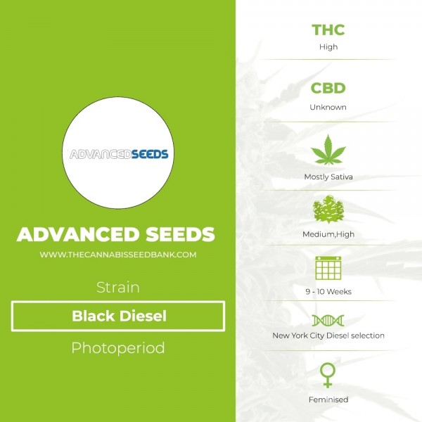 Black Diesel (Advanced Seeds) - The Cannabis Seedbank