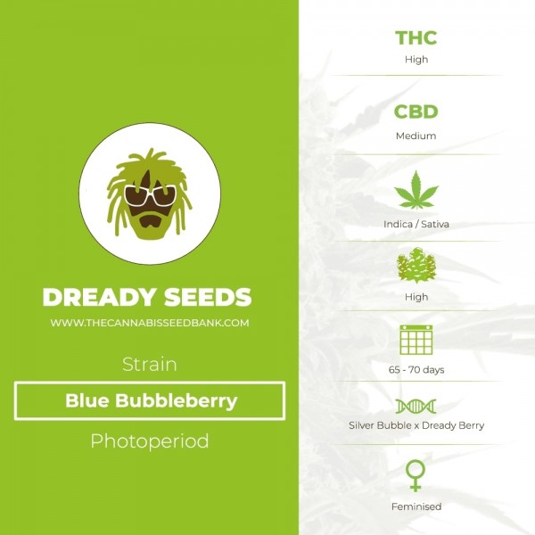 Blue Bubbleberry (Dready Seeds) - The Cannabis Seedbank