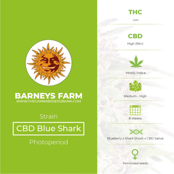 CBD Blue Shark Feminised Barney's Farm Seeds - Characteristics