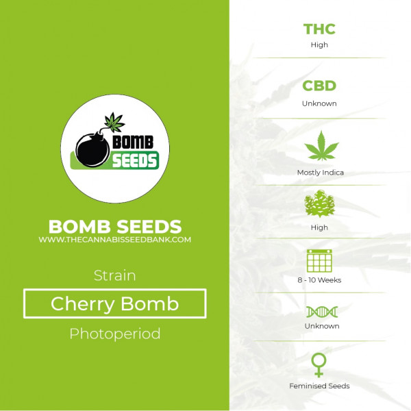 Cherry Bomb Feminised - Bomb Seeds - Characteristics