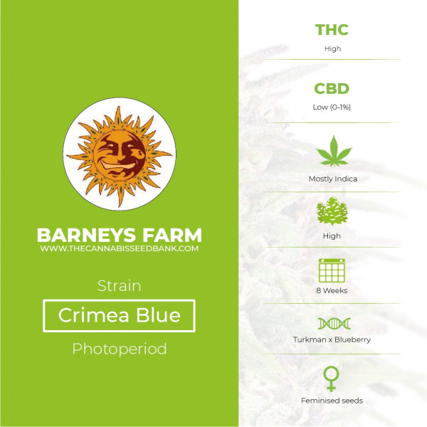 Crimea Blue Feminised Barney's Farm Seeds - Characteristics