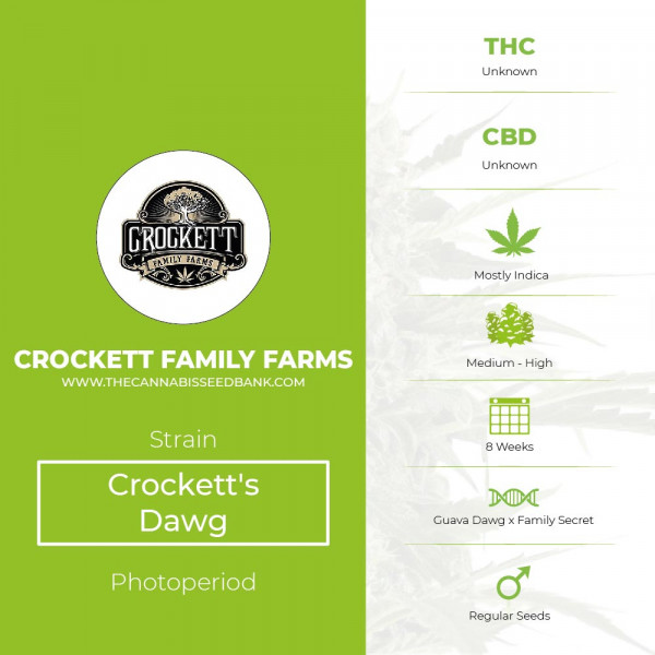 Crockett's Dawg - Regular - Crockett Family Farm - Characteristics