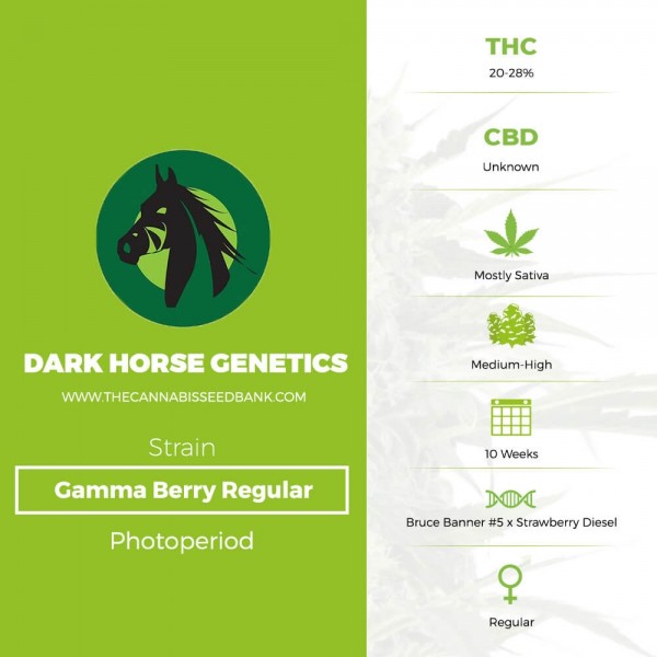 Gamma Berry Regular (Dark Horse Genetics) - The Cannabis Seedbank