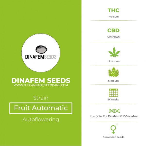 Fruit Automatic Feminised Dinafem Seeds - Characteristics