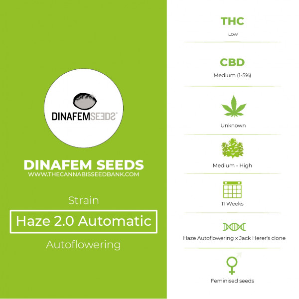 Haze 2.0 Automatic Feminised Dinafem Seeds - Characteristics