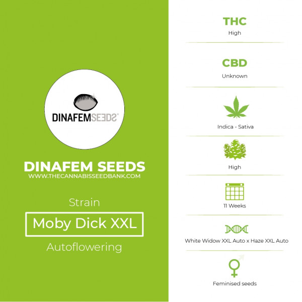 Moby Dick XXL Autoflowering Feminised Dinafem Seeds - Characteristis
