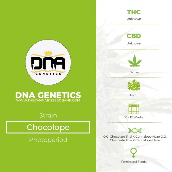 Chocolope (DNA Genetics) - The Cannabis Seedbank