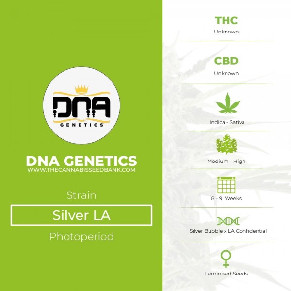 Silver LA (DNA Genetics) - The Cannabis Seedbank