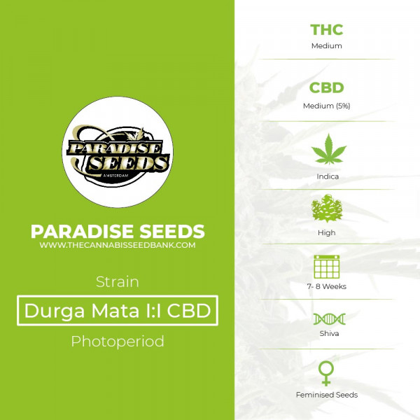 Durga Mata I:I CBD - Feminised - Paradise Seeds - Characteristics