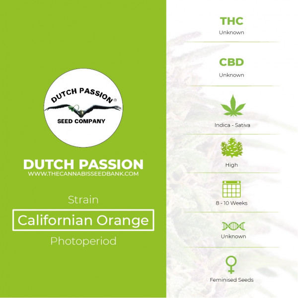Californian Orange - Feminised - Dutch Passion - Characteristics