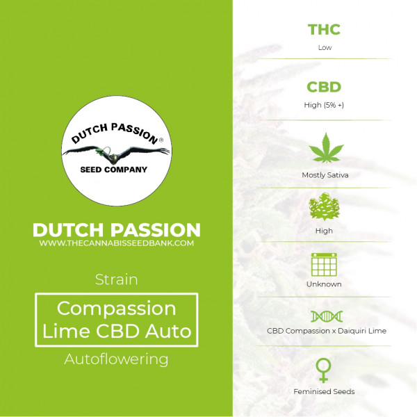 CBD Auto Compassion Lime - CBD Autoflowering - Dutch Passion - Characteristics