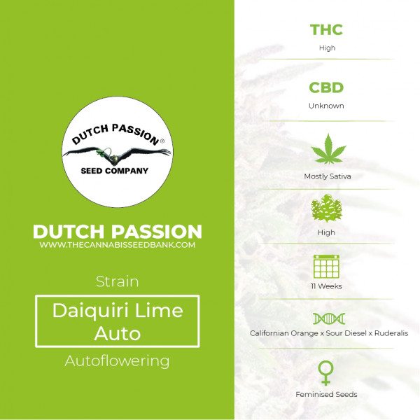 AutoDaiquiri Lime - Autoflowering - Dutch Passion - Characteristics
