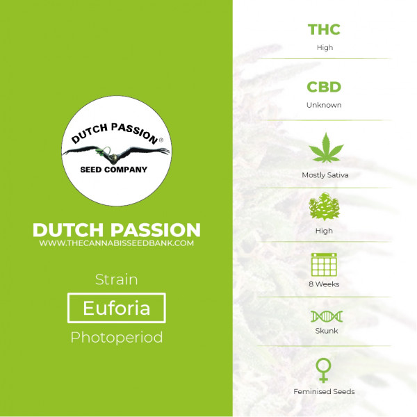 Euforia - Feminised - Dutch Passion - Characteristics