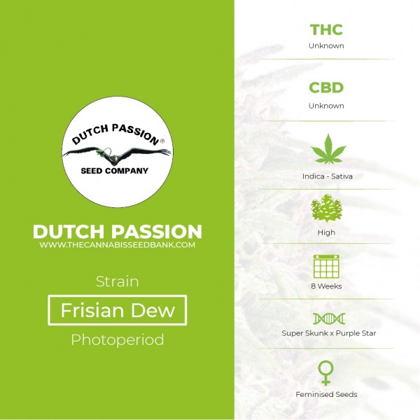 Frisian Dew - Feminised - Dutch Passion - Characteristics
