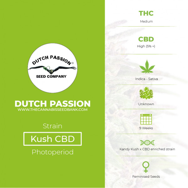CBD Kush - Feminised - Dutch Passion - Characteristics