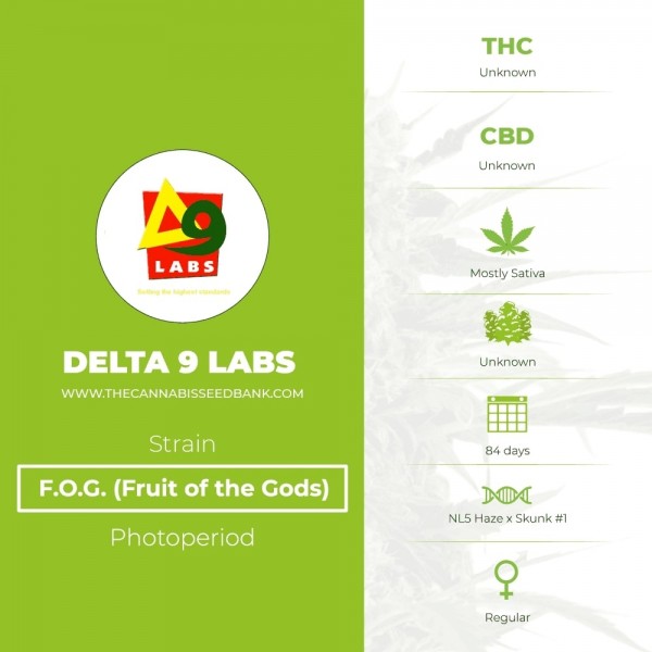 F.O.G. (Fruit of the Gods) Regular (Delta 9 Labs) - The Cannabis Seedbank
