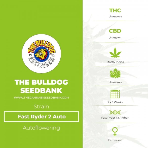 Fast Ryder 2 Auto (The Bulldog Seedbank) - The Cannabis Seedbank