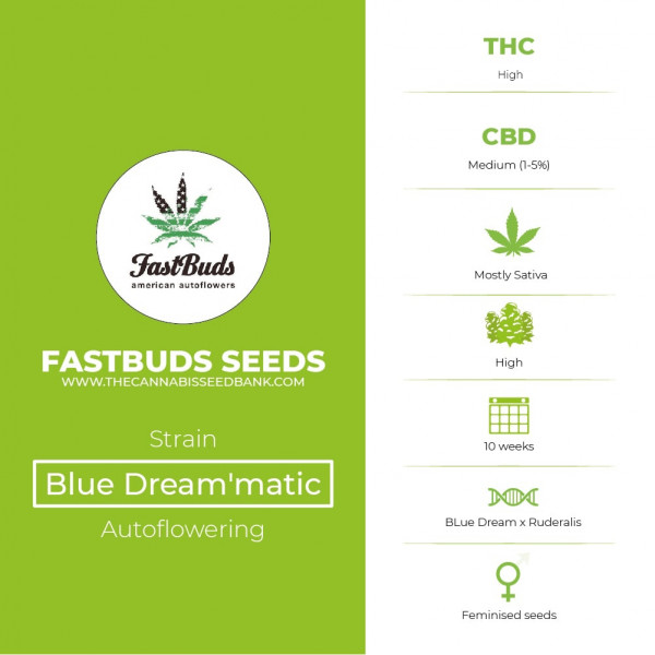 Blue Dream'matic Autoflowering Feminised FastBuds Seeds
