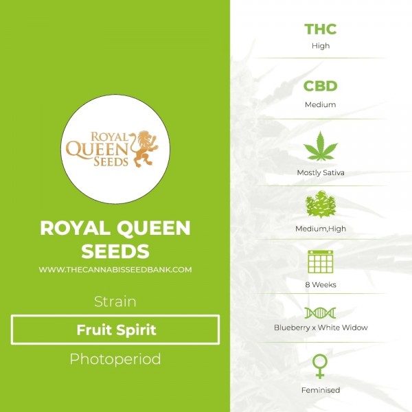 Fruit Spirit (Royal Queen Seeds) - The Cannabis Seedbank