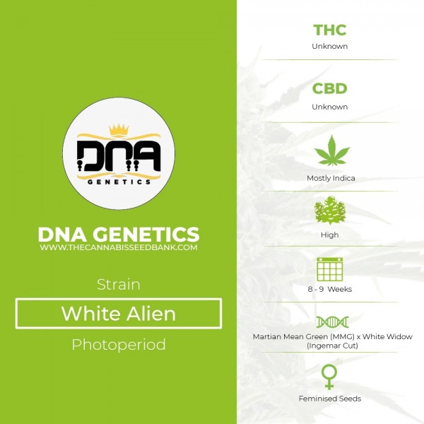 White Alien (GYO) (DNA Genetics) - The Cannabis Seedbank