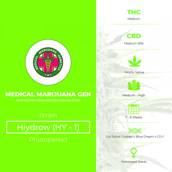 Hiydrow (HY - 1) - Feminised - Medical Marijuana Genetics - Characteristics