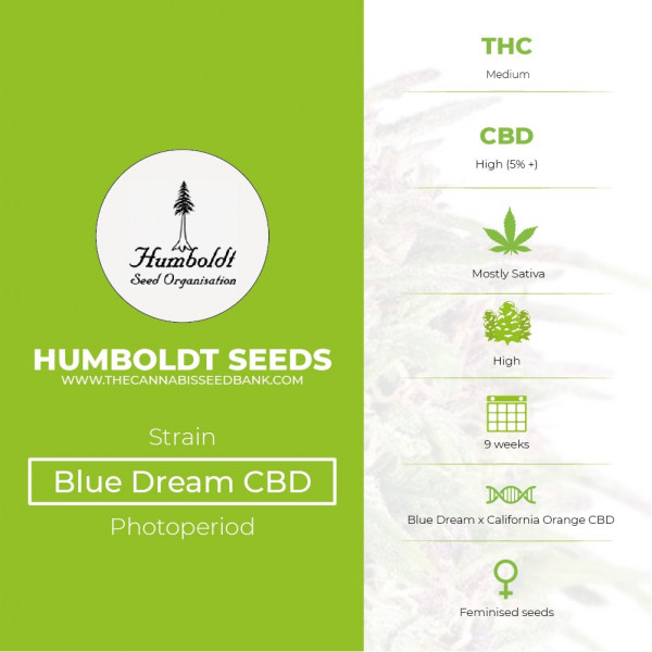 Blue Dream CBD Feminised Humboldt Seeds - Characteristics
