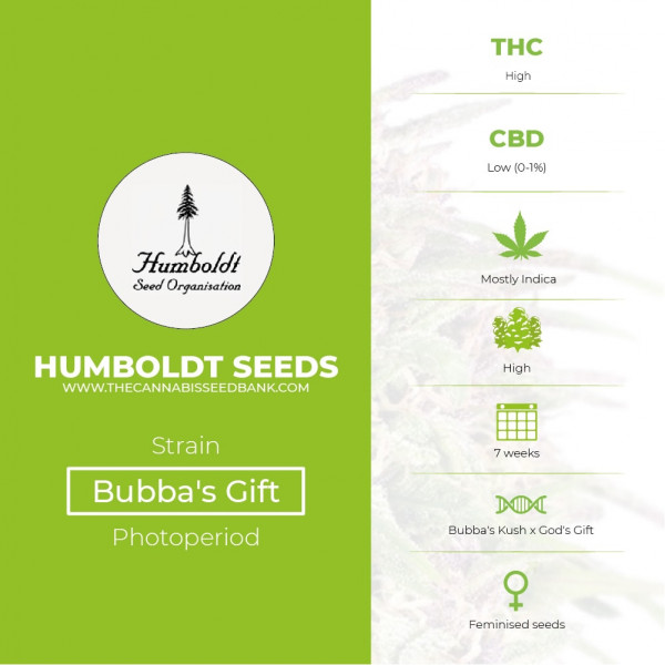 Bubba's Gift Feminised Humboldt Seeds - Characteristics