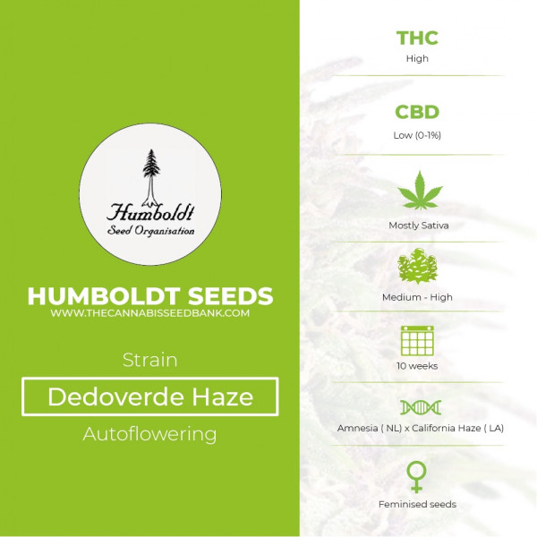 Dedoverde Haze Feminised Humboldt Seeds - Characteristics