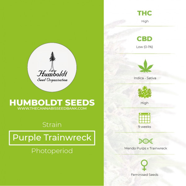 Purple Trainwreck Feminised Humboldt Seeds - Characteristics