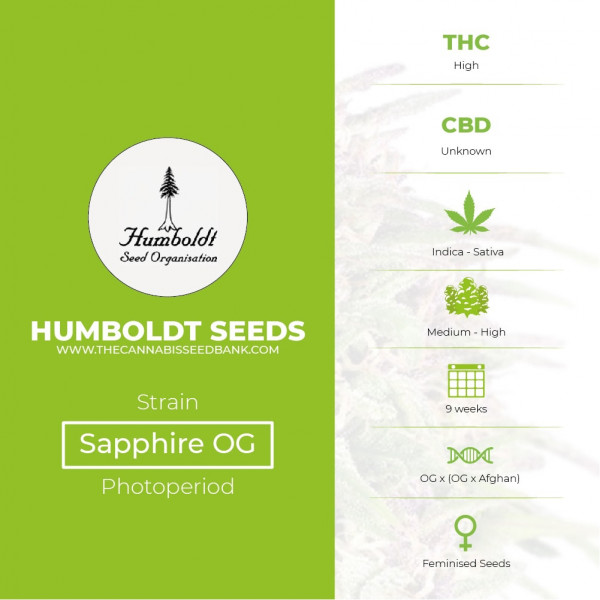 Sapphire OG Feminised Humboldt Seeds