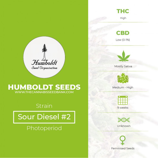Sour Diesel #2 Feminised Humboldt Seeds - Characteristics
