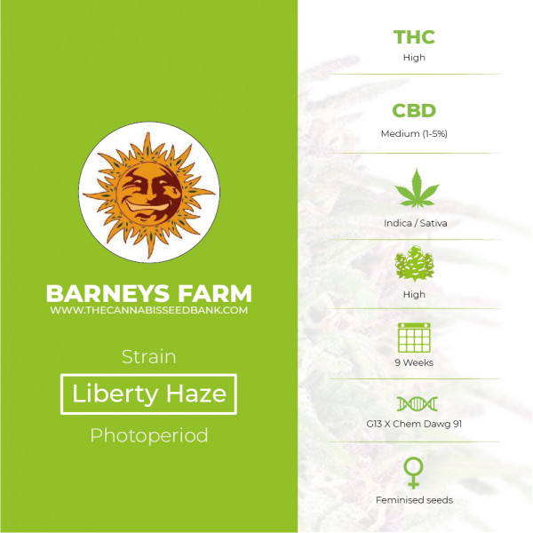 Liberty Haze Feminised Barney's Farm Seeds - Characteristics