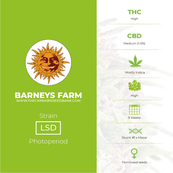 LSD Feminised Barney's Farm Seeds - Characteristics