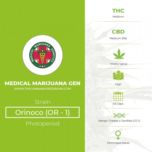  Orinoco (OR-1) - Feminised - Medical Marijuana Genetics - Characteristics