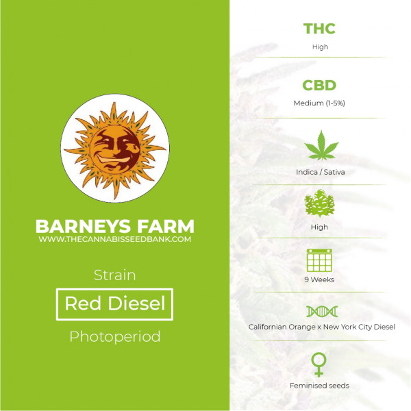 Red Diesel Feminised  Barney's Farm Seeds - Characteristics