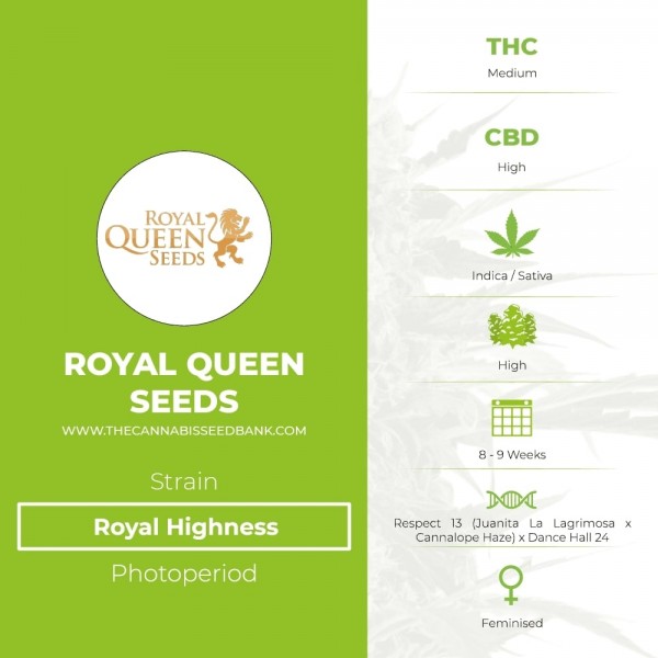 Royal Highness (Royal Queen Seeds) - The Cannabis Seedbank