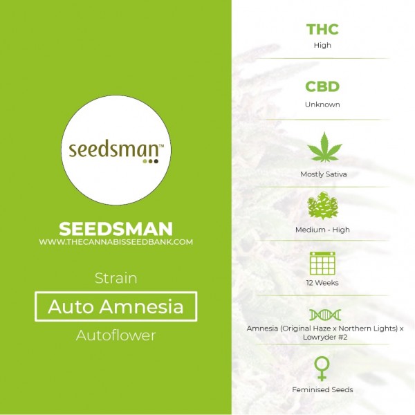 Auto Amnesia Feminised Seedsman - Characteristics