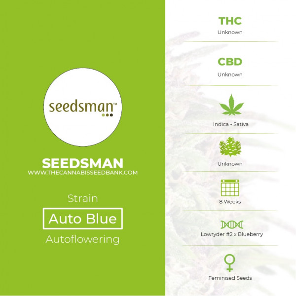 Auto Blue Feminised Seedsman - Characteristics