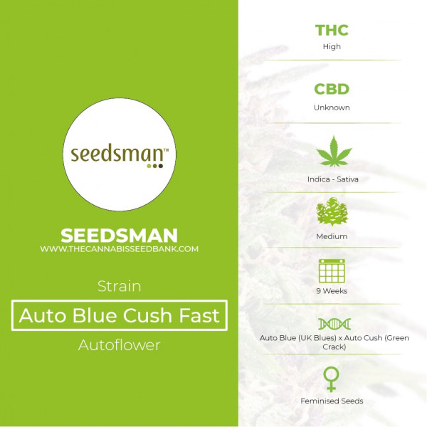 Auto Blue Cush Fast Feminised Seedsman - Characteristics