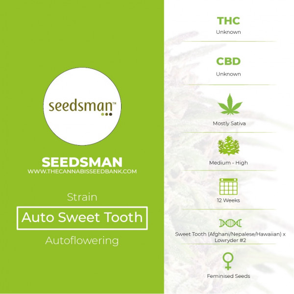 Auto Sweet Tooth Feminised Seedsman - Characteristics